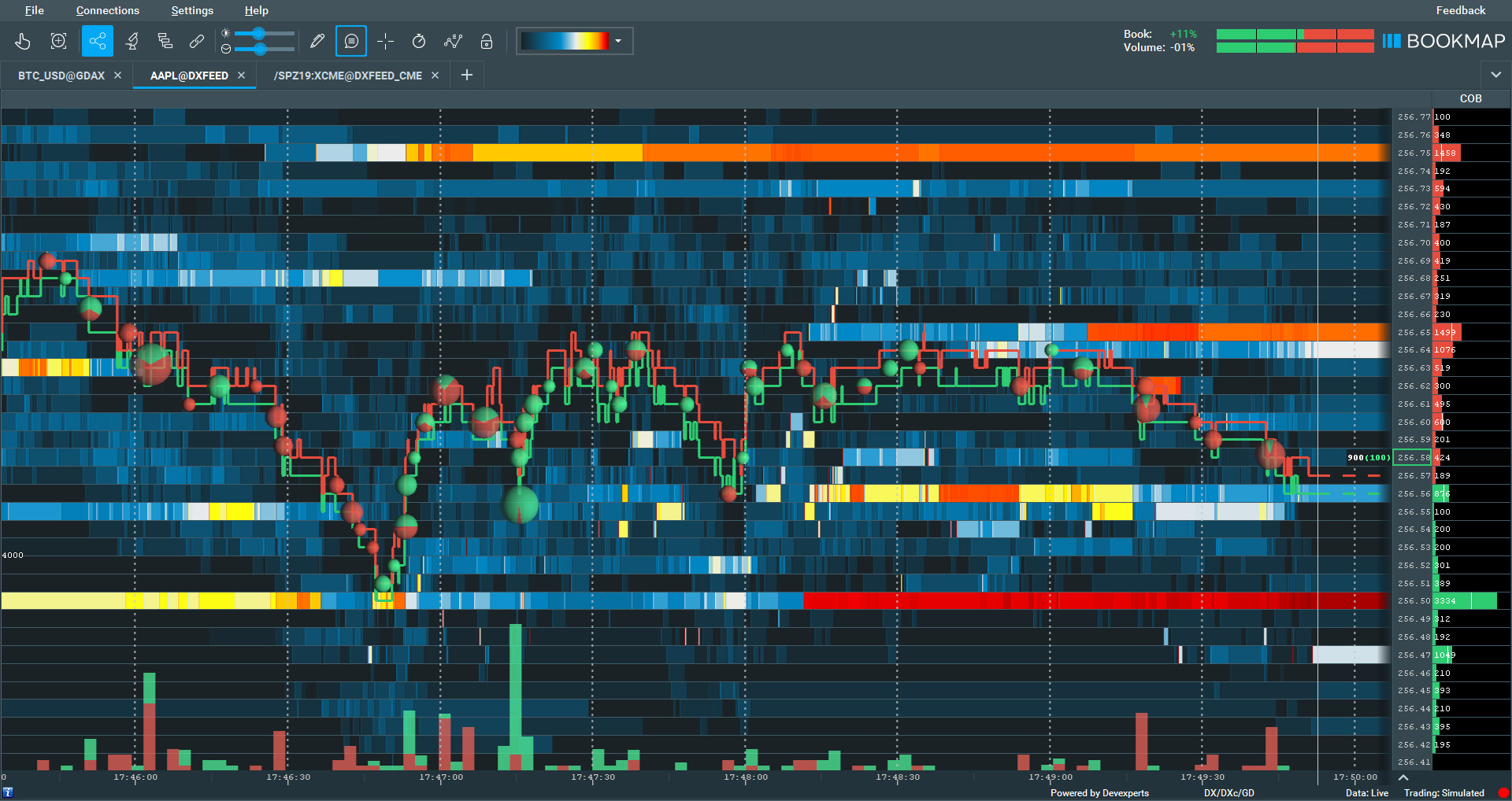 Volume bubbles showing executed trades directly on the Bookmap chart