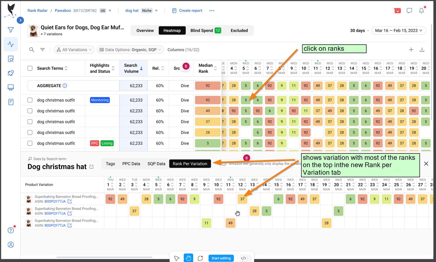 Data Dive Rank Radar keyword tracking dashboard showing daily rank changes, search volume, and position trends