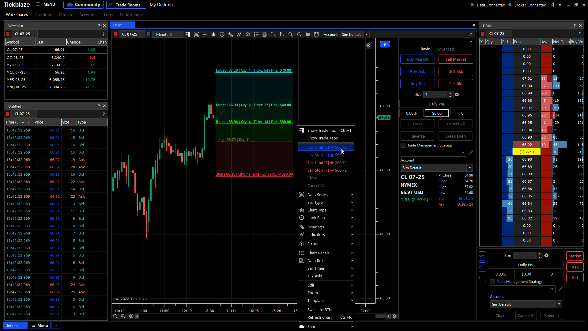 TickBlaze WebTrader interface showing manual order placement and multi-asset charting in a web browser